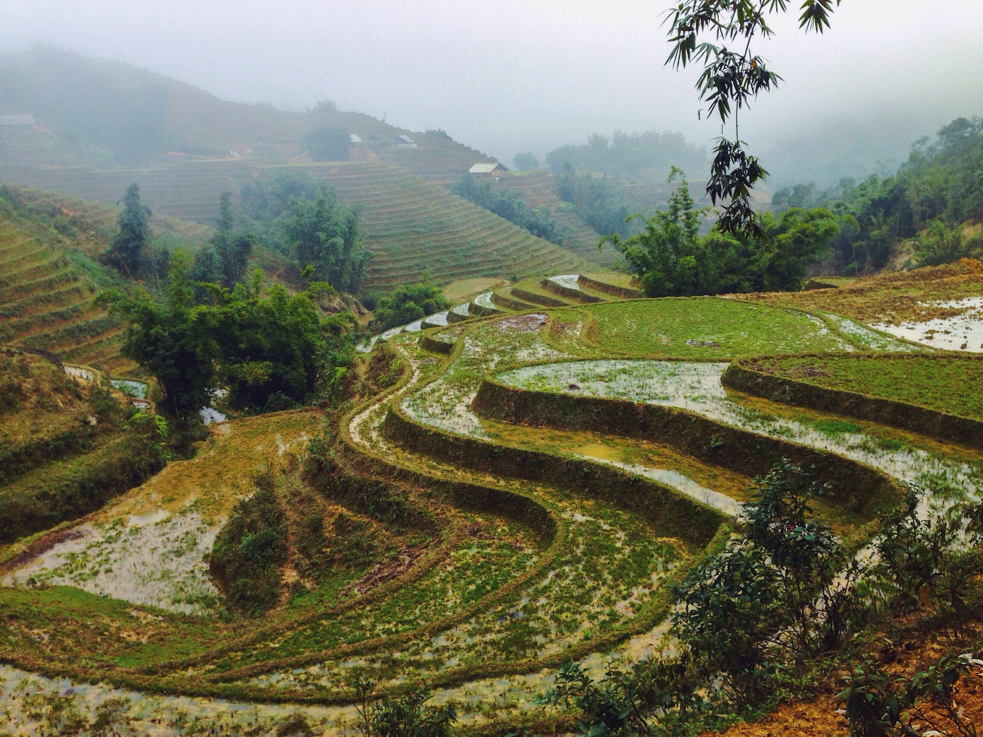 rice-terraces-1